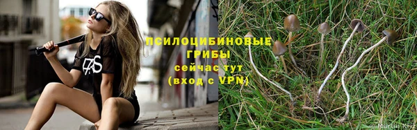 a pvp Армянск